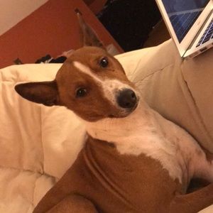 Meet your Posher, Catherine